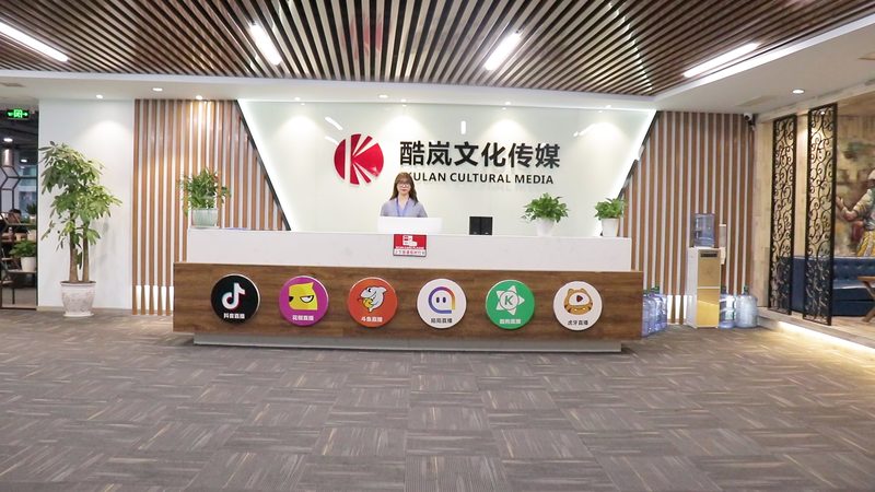 文化传媒公司岗位排名：揭秘行业高薪岗位与晋升路径**