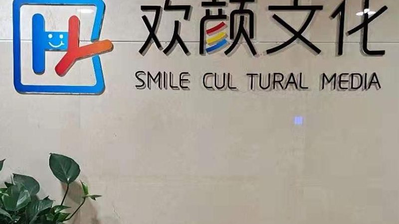 VI设计合同纠纷案例分析：如何规避潜在风险