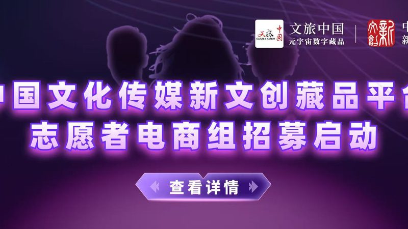 媒介投放助理：如何胜任这一关键岗位**